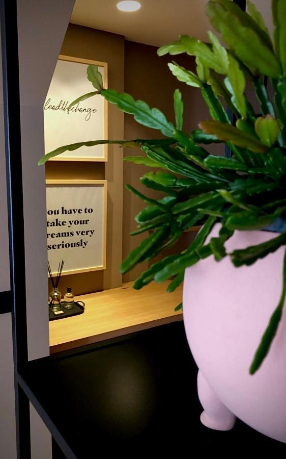 The Matter Meaningful Apartamento
